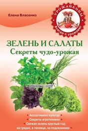 Елена Власенко: Зелень и салаты. Секреты чудо-урожая