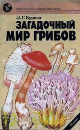 Лидия Бурова: Загадочный мир грибов