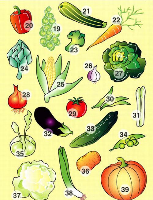 22 zanahoria ж морковь 23 brécol м брокколи 24 alcachofa ж артишок 25 - фото 5