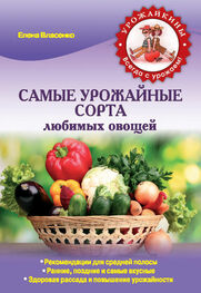 Елена Власенко: Самые урожайные сорта любимых овощей