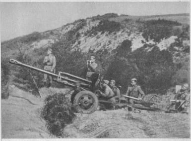 Орудийный расчет старшины Данилова на огневой позиции Верные помощники - фото 39