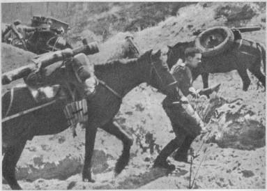 Верные помощники артиллеристов в Карпатах Л И Брежнев среди командиров и - фото 40