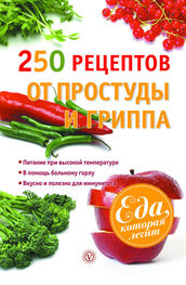 Виктор Ильин: 250 рецептов от простуды и гриппа