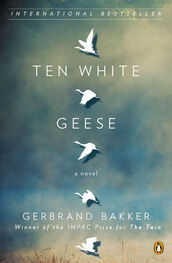 Gerbrand Bakker: Ten White Geese