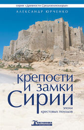 Александр Юрченко: Крепости и замки Сирии эпохи крестовых походов
