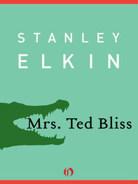 Stanley Elkin: Mrs. Ted Bliss
