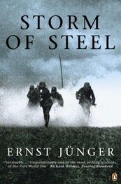Ernst Jünger: Storm of Steel