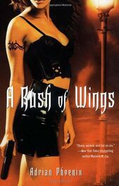 Adrian Phoenix: A Rush of Wings