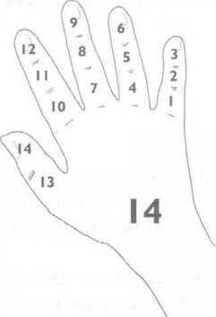 Рис 8 Счет до 14 на руке С числом 14 не связано такого количества ухищрений - фото 10