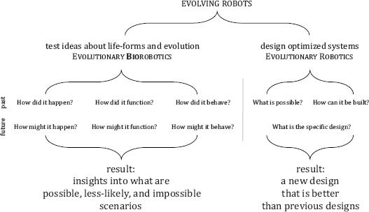 FIGURE 23 People evolve robots for two main purposes to test ideas about - фото 11