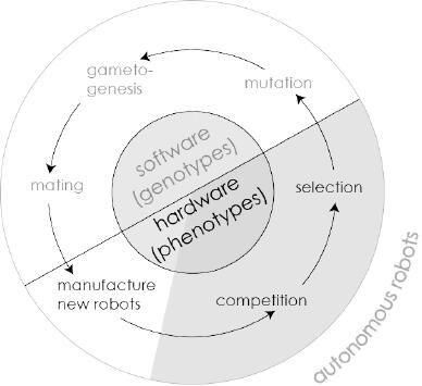 FIGURE 24 The lifecycle of evolving robots Although all the behavioral - фото 12