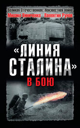 Михаил Виниченко: «Линия Сталина» в бою