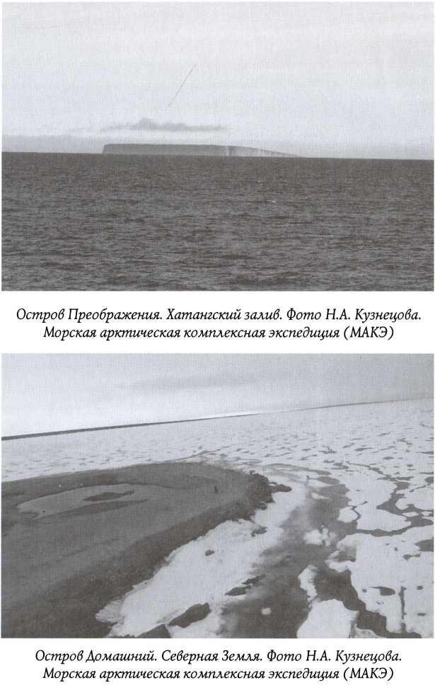 Арктические тени Третьего рейха - фото 11