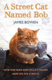 Джеймс Боуэн: A Street Cat Named Bob