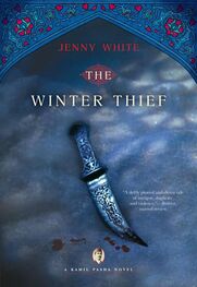 Jenny White: The Winter Thief