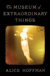 Alice Hoffman: The Museum of Extraordinary Things