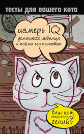 Екатерина Мишаненкова: Тесты для вашего кота. Измерь IQ домашнего любимца и пойми его психотип