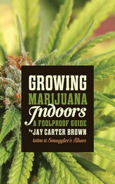 Jay Brown: Growing Marijuana Indoors