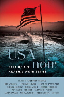 Johnny Temple USA Noir: Best of the Akashic Noir Series