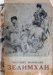 Магомет Мамакаев: Зелимхан