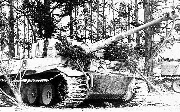Тигры 502го тяжёлого танкового батальона в засаде Район Нарвы февраль 1944 - фото 24