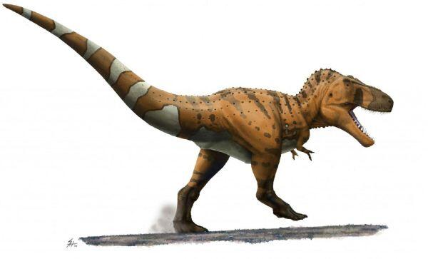 Недавнее свидетельство указывает на то что динозавры были гораздо более - фото 6
