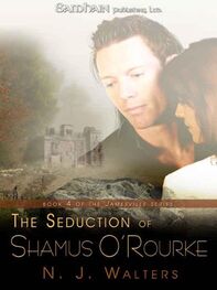 N. Walters: The Seduction of Shamus O'Rourke
