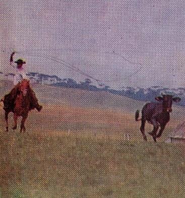 Гаушо Бразильский Юг житница страны Перегон скота с южных пастбищ на - фото 23