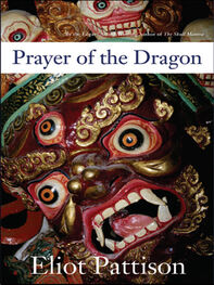 Eliot Pattison: Prayer of the Dragon