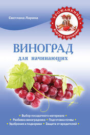 Светлана Ларина: Виноград для начинающих