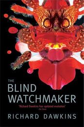 Ричард Докинз: Слепой часовщик