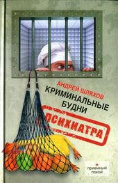 Андрей Шляхов: Криминальные будни психиатра