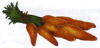 Морковка Семнадцатая с иллюстрациями - фото 27