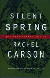 Rachel Carson: Silent Spring: 40th Anniversary Edition