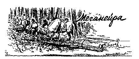 Рисунки А Медельского Тайга Бесконечная северная тайга Корявые обомшелые - фото 3