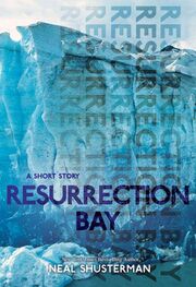 Neal Shusterman: Resurrection Bay