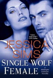 Jessica Sims: Single Wolf Female