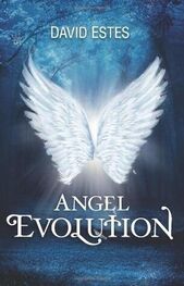 Дэвид Эстес: Эволюция Ангелов