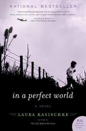 Laura Kasischke: In a Perfect World