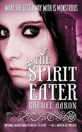 Rachel Aaron: The Spirit Eater