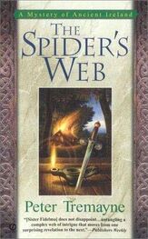 Peter Tremayne: The Spider's Web