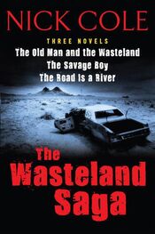Nick Cole: The Wasteland Saga