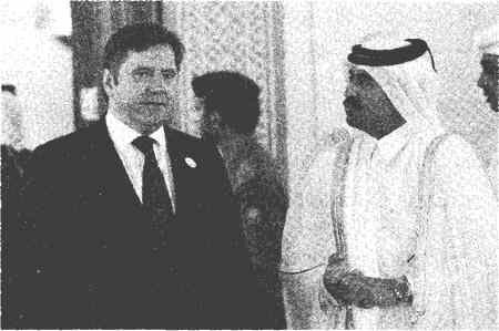 Министр энергетики РФ Сергей Шматко и министр нефти и энергетики Катара - фото 20