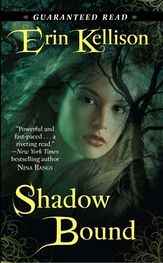 Erin Kellison: Shadow Bound