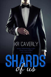 K Caverly: Shards of Us