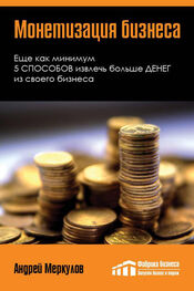Андрей Меркулов: Монетизация бизнеса