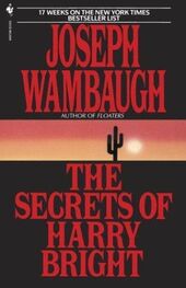 Joseph Wambaugh: The Secrets of Harry Bright