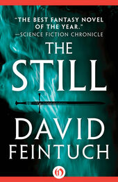 David Feintuch: The Still