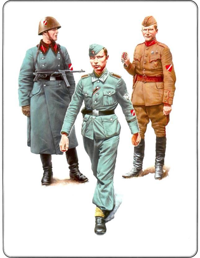 1 Роттенфюрер15й дивизии войск СС латвийской 1 1945 г 2 - фото 30