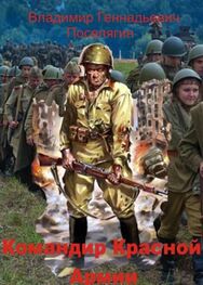 Владимир Поселягин: Командир Красной Армии